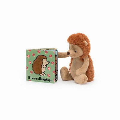 Jellycat If I Were A Egel Board and Bashful Egel Medium | KU3827594